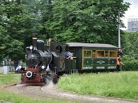 Feuriger Elias 0081