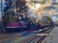 HSB 0019 10/2022