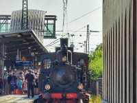 Kuckucksbähnel 0346 08/2021