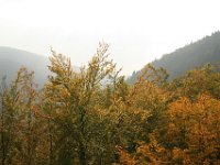 Erfenstein 0004