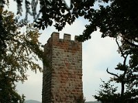 Erfenstein 0025