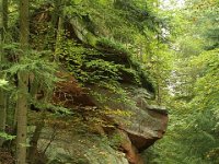 Erfenstein 0026