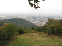 Heidelberg 0020
