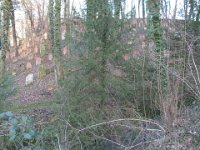 Hemsbach 0016