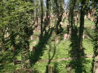 Hemsbach 0094