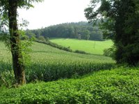 Hemsbach 0099