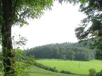 Hemsbach 0101