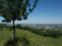 Brisighella 0050