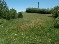 Brisighella 0057