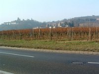 Leininger Land 0004