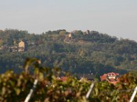 Leininger Land 0007