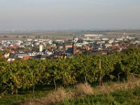 Leininger Land 0008