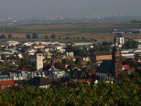 Leininger Land 0012