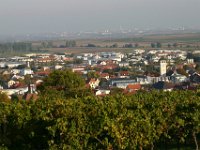 Leininger Land 0018