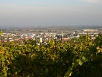 Leininger Land 0019
