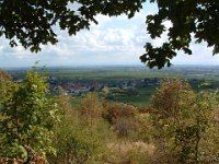 Leininger Land 0028