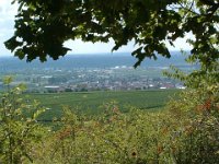 Leininger Land 0029