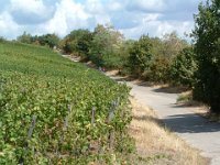 Leininger Land 0032