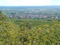 Leininger Land 0033