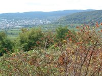 Leininger Land 0034