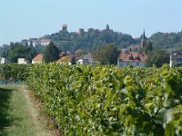 Leininger Land 0035