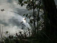 Sonstiges 0010