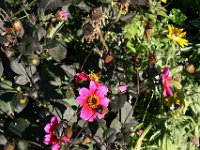 Sonstiges 0016