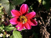 Sonstiges 0018