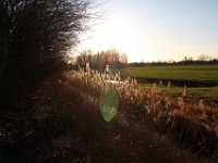 Sonstiges 0019