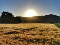 Sonstiges 0060