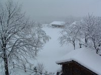 Staffelsee 0016
