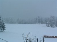 Staffelsee 0019