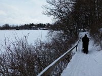Staffelsee 0189