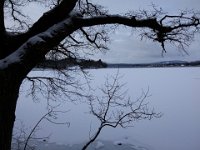 Staffelsee 0193