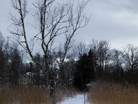 Staffelsee 0195