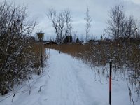 Staffelsee 0196