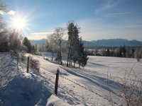 Staffelsee 0199