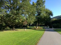 Weinheim 0002