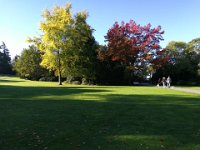 Weinheim 0003