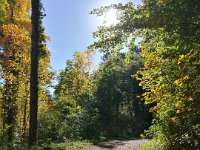 Weinheim 0017