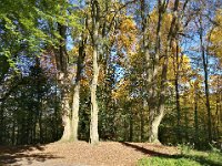 Weinheim 0018