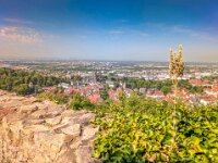 Weinheim 0099