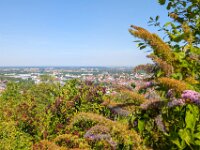Weinheim 0103