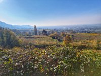 Zwingenberg 0010