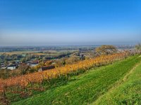 Zwingenberg 0011