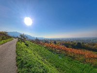 Zwingenberg 0013