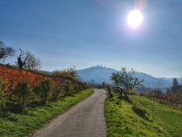 Zwingenberg 0015