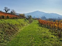 Zwingenberg 0018