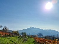 Zwingenberg 0019
