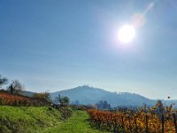 Zwingenberg 0020